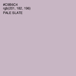 #C9B6C4 - Pale Slate Color Image